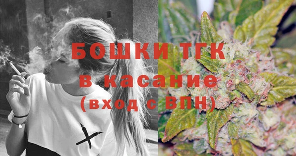 шишки Бронницы